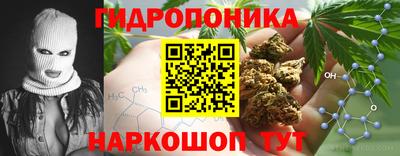 гашик Конаково