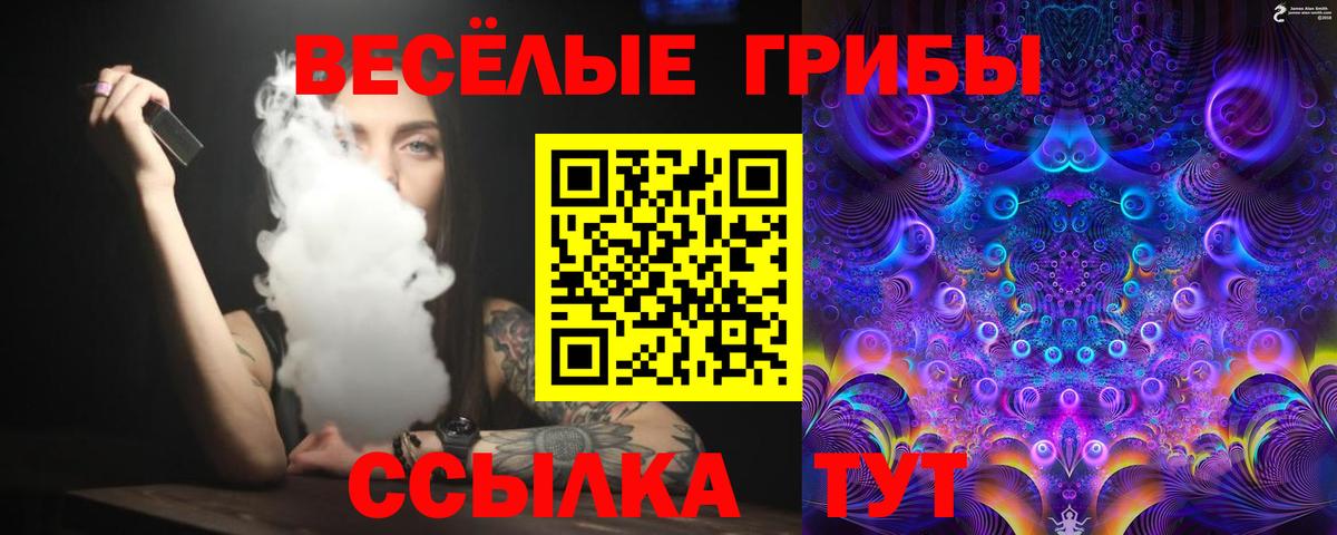 Псилоцибиновые грибы Cubensis Кольчугино