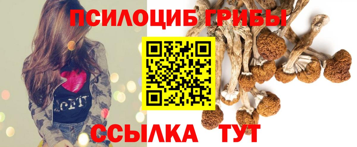 Галлюциногенные грибы Psilocybe  Вход с VPN  Кольчугино 